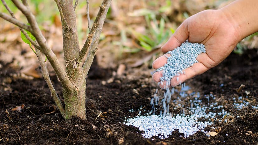 Nutrient Fertilizers